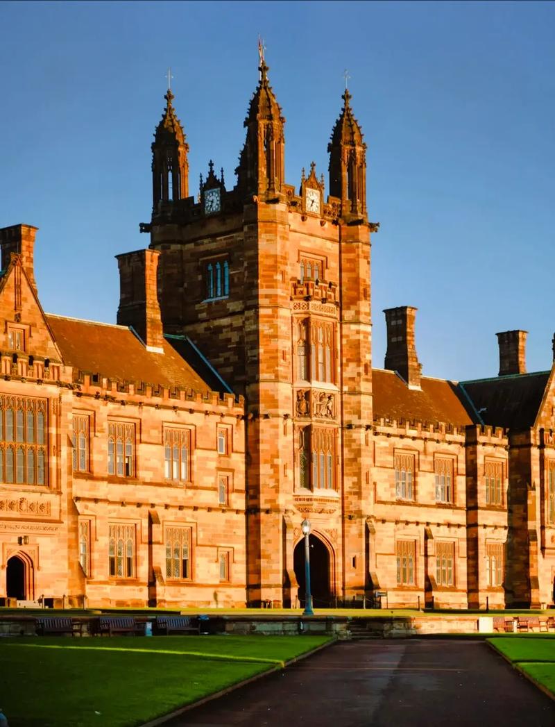 南佛罗里达大学