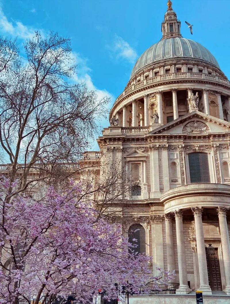 科罗拉多大学博尔德分校